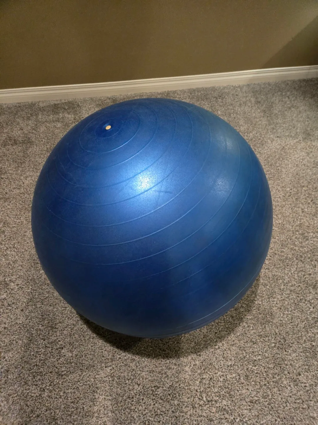 Gym Exercise Ball