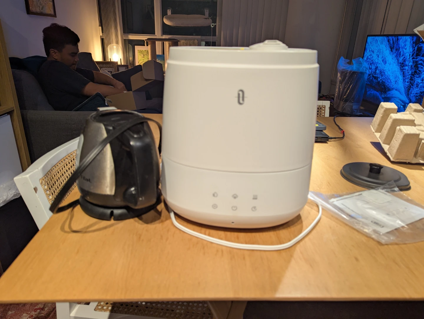 TaoTronics Humidifier  and Kettle