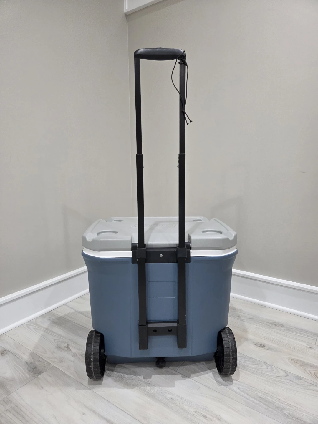 Coleman 316 Series 60-Quart Wheeled Cooler - photo 2