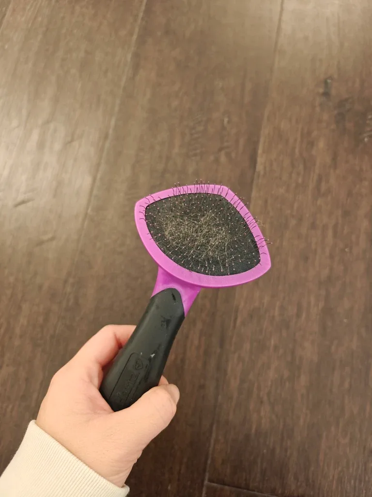 Pet Grooming Brush Set image indicator(2)