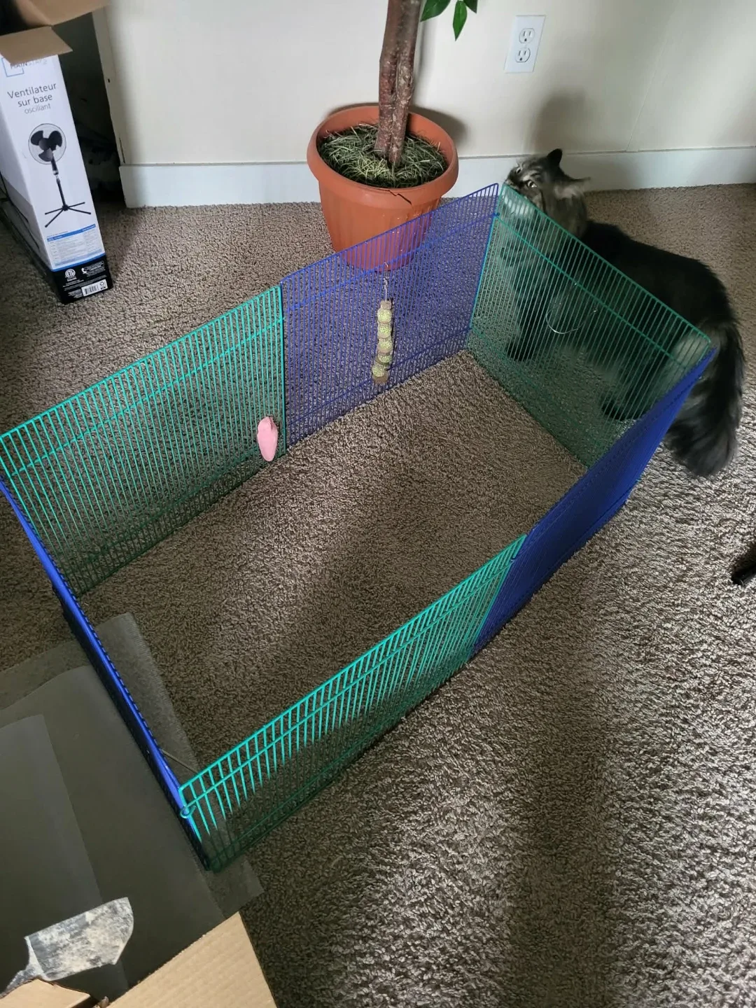 Rabbit/Guinea Pig Playpen image indicator(2)