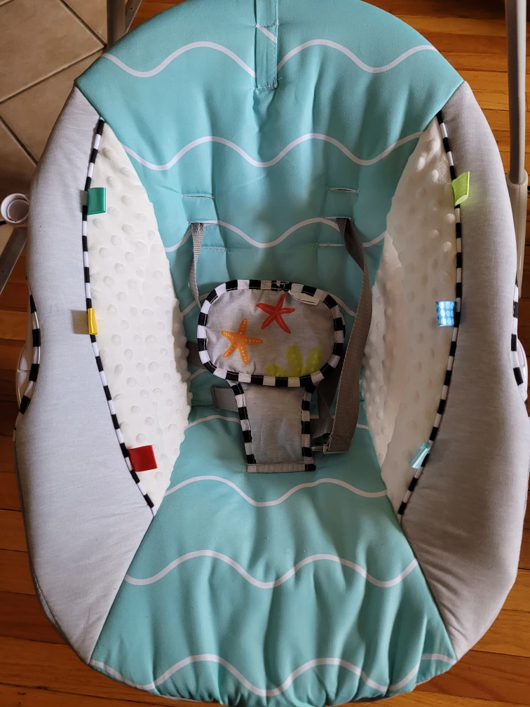 Baby Einstein Swing - photo 5