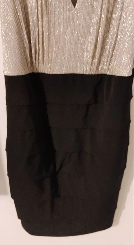 En Focus Petite Black/Silver Dress - Size 14P image indicator(3)