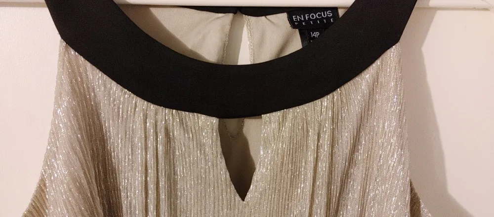 En Focus Petite Black/Silver Dress - Size 14P image indicator(4)