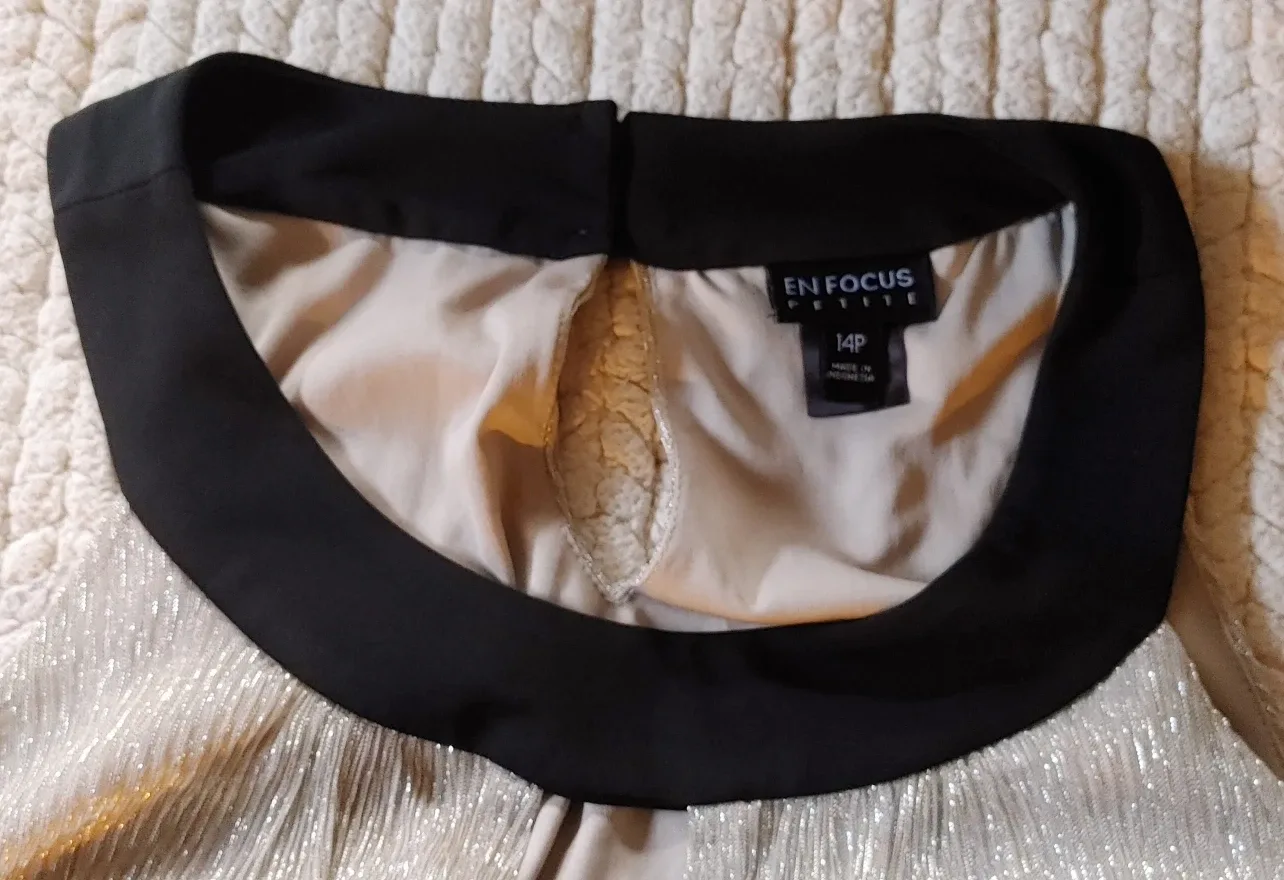 En Focus Petite Black/Silver Dress - Size 14P image indicator(7)