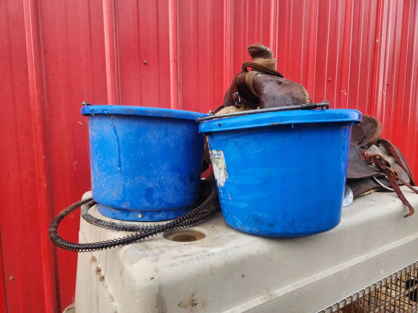 Horse bucket