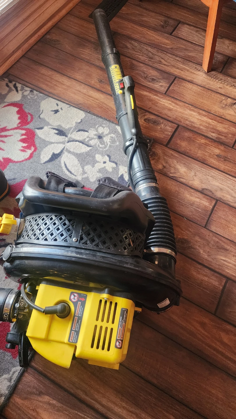Champion Power Equipment  Gas Backpack Leaf Blower