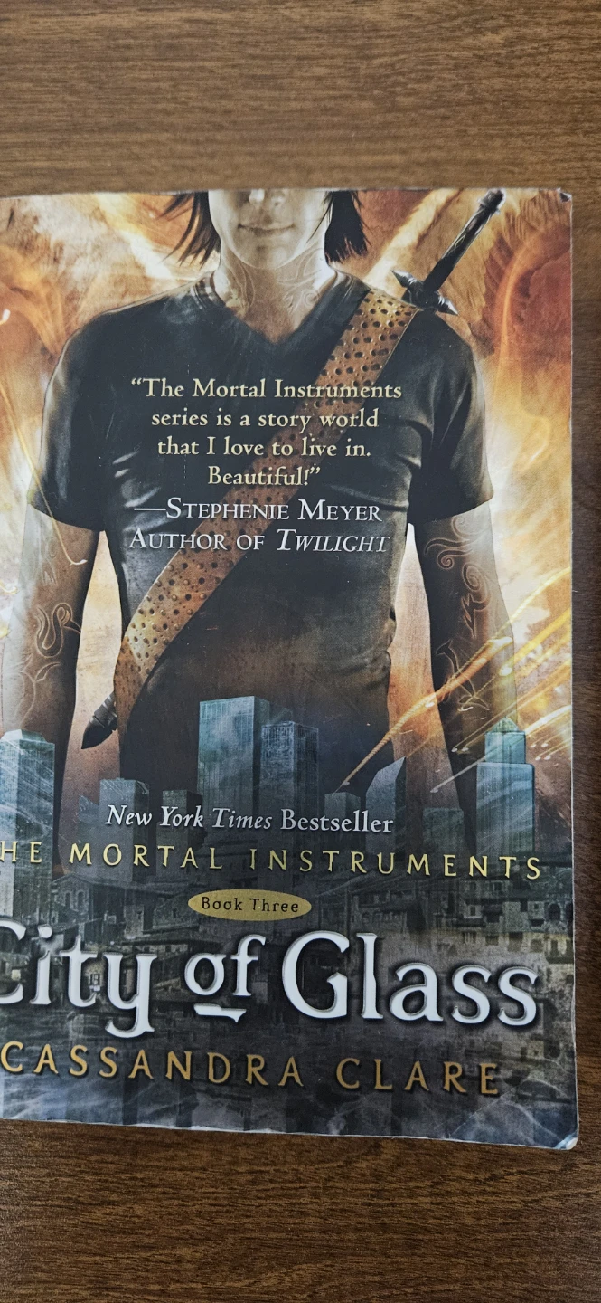 The Mortal Instruments: Book 3 -5 - photo 4