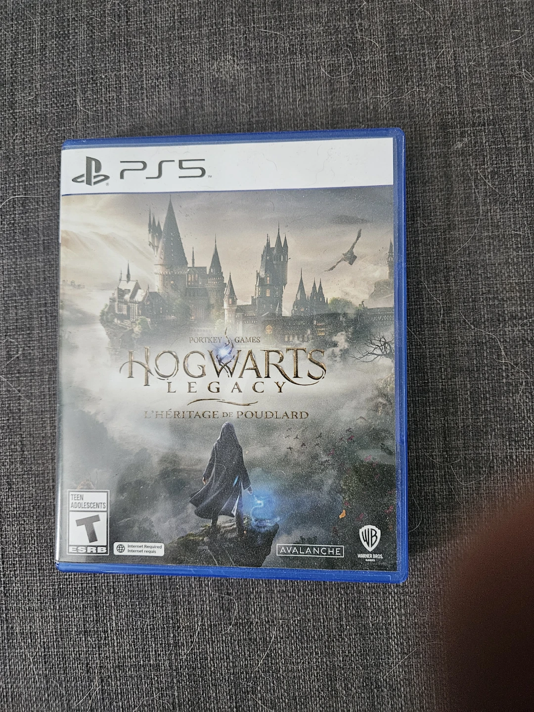 Hogwarts Legacy PS5 Game