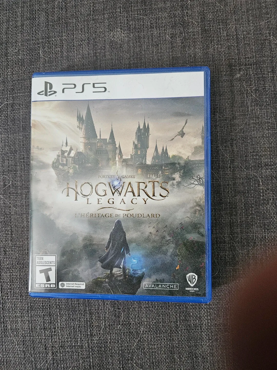 Hogwarts Legacy PS5 Game