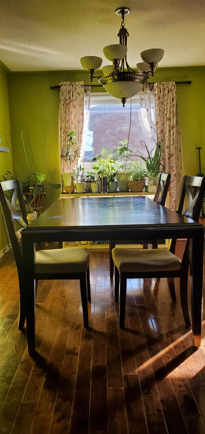 Dining Table and Chairs Set