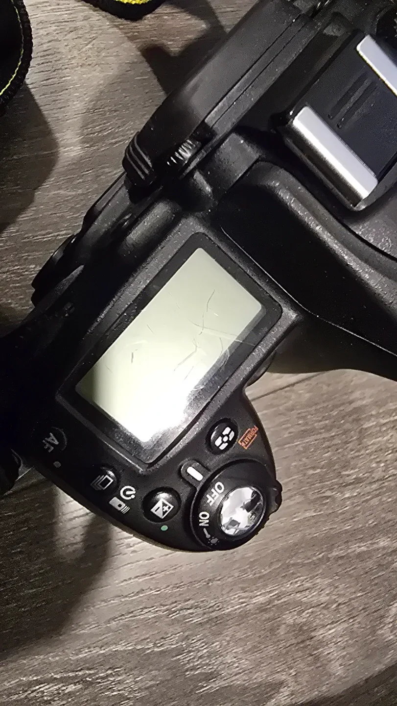 Nikon D90 Digital Camera image indicator(5)