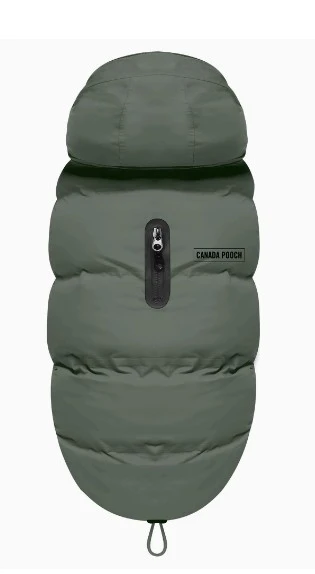 Canada Pooch Dog Coat & Accessories. Please message me for price - photo 3