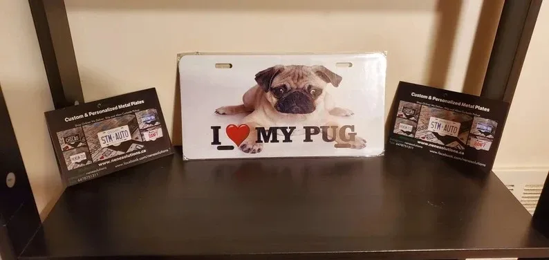 Custom Ontario Vanity Novelty License Plates