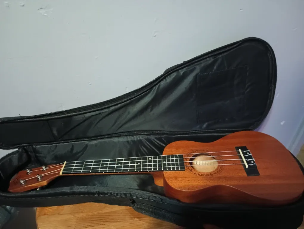 Eastrock 21 Inch Soprano Ukulele with Gig Bag