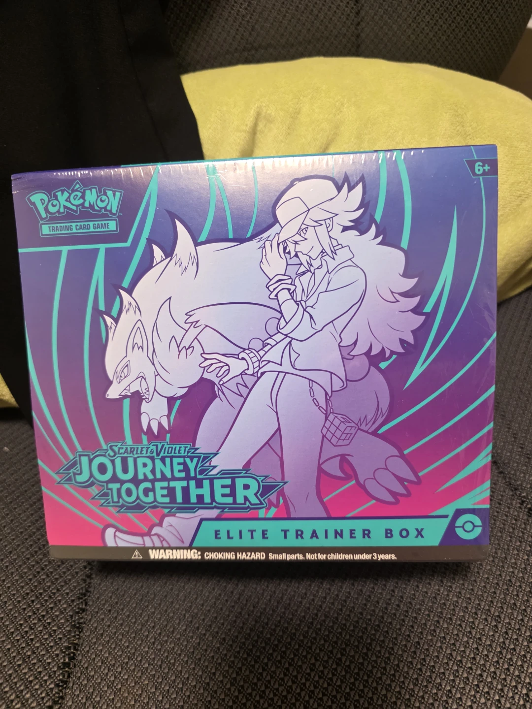 Pokemon Journey Together Elite Trainer Box