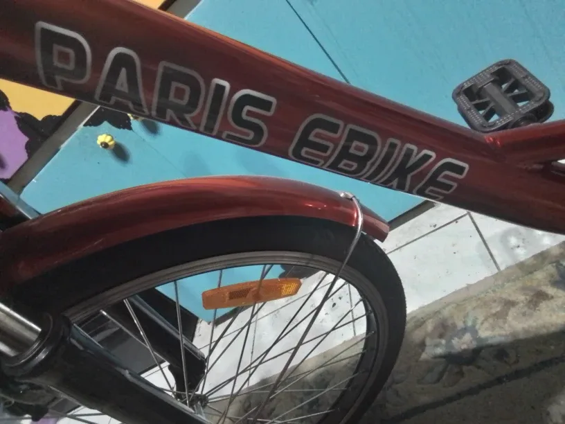 Daymak Paris V5 - Metallic Red Electric  Bicycle New image indicator(8)