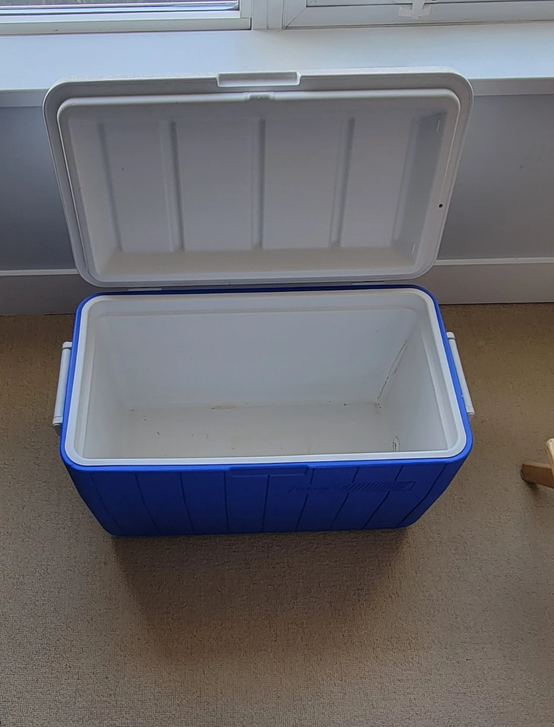 Coleman Cooler - Blue