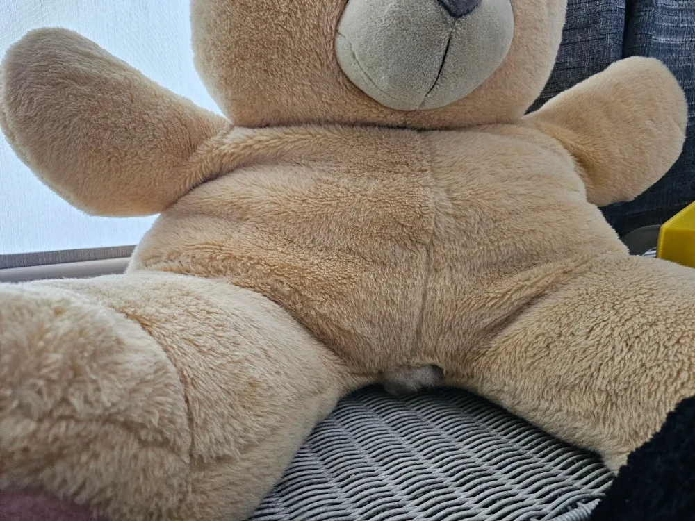 #Cleanout Large Beige Teddy Bear image indicator(2)