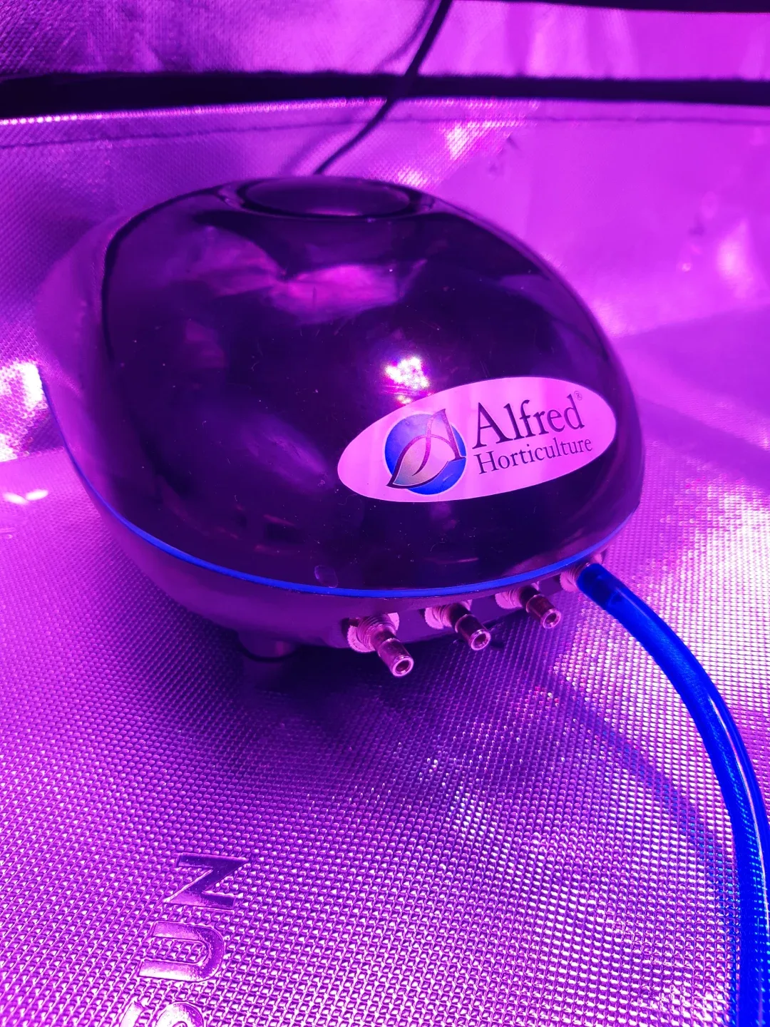 #cleanout Alfred Horticulture Air Pump