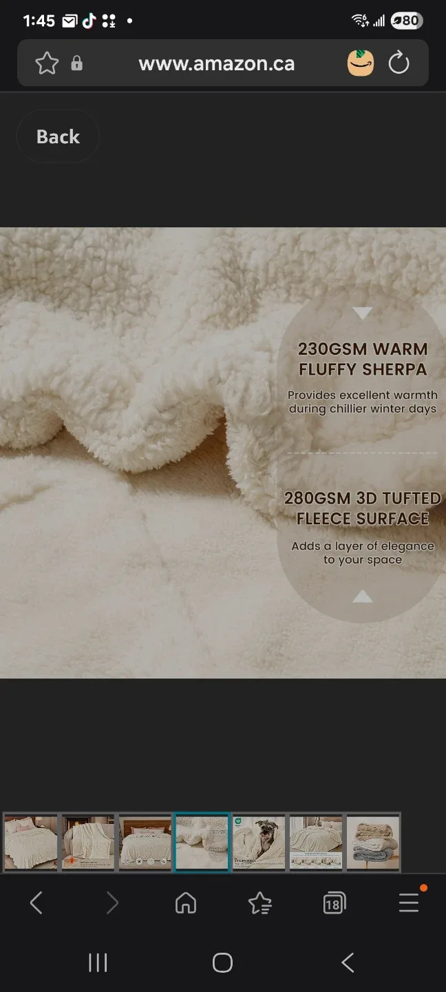 large Fluffy Sherpa Fleece Blanket new image indicator(4)