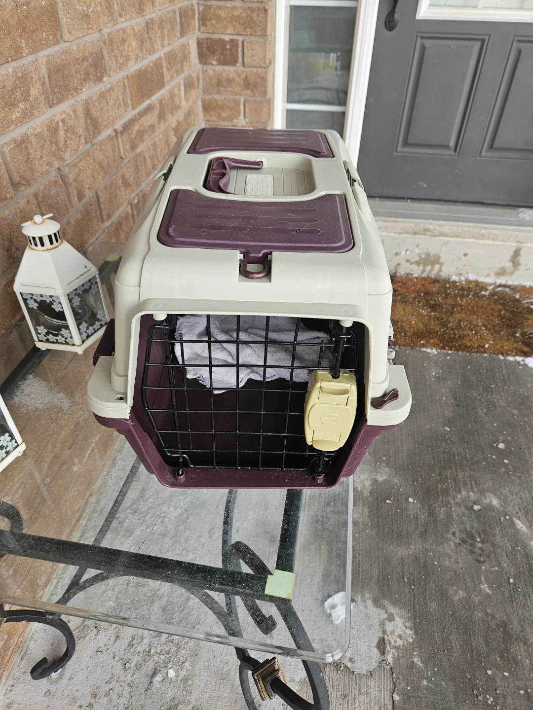 Pet Carrier - Beige & Purple - photo 2