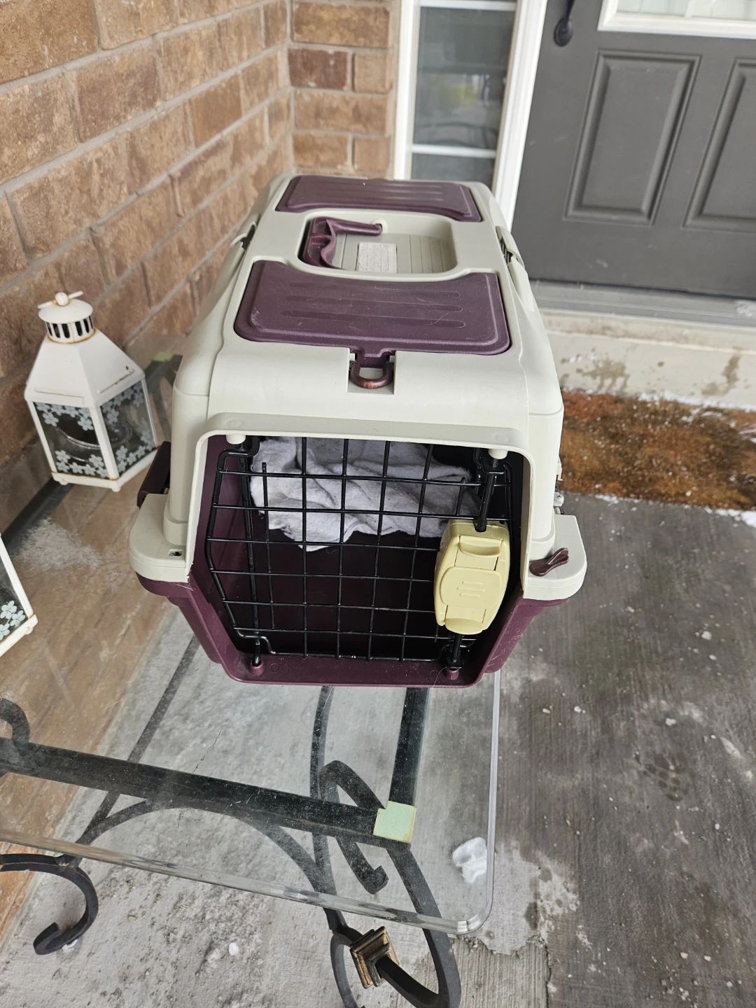 Pet Carrier - Beige & Purple - photo 3