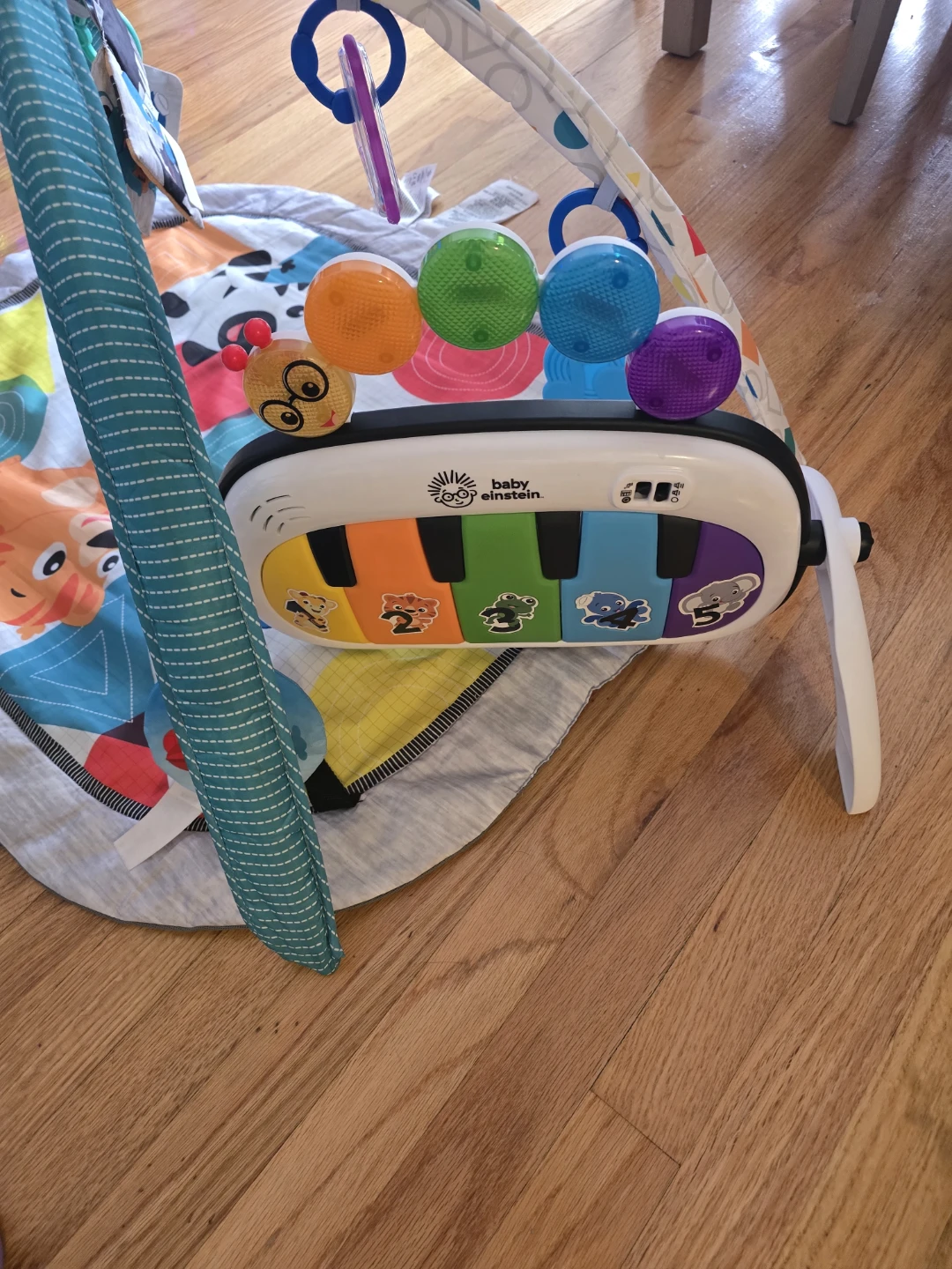 Baby Einstein Activity Gym - photo 2