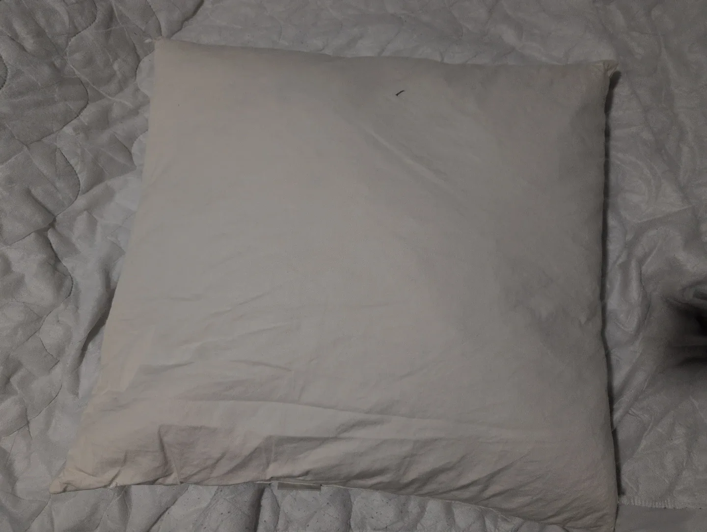 White DOWN FEATHER Pillow with Minor Stains