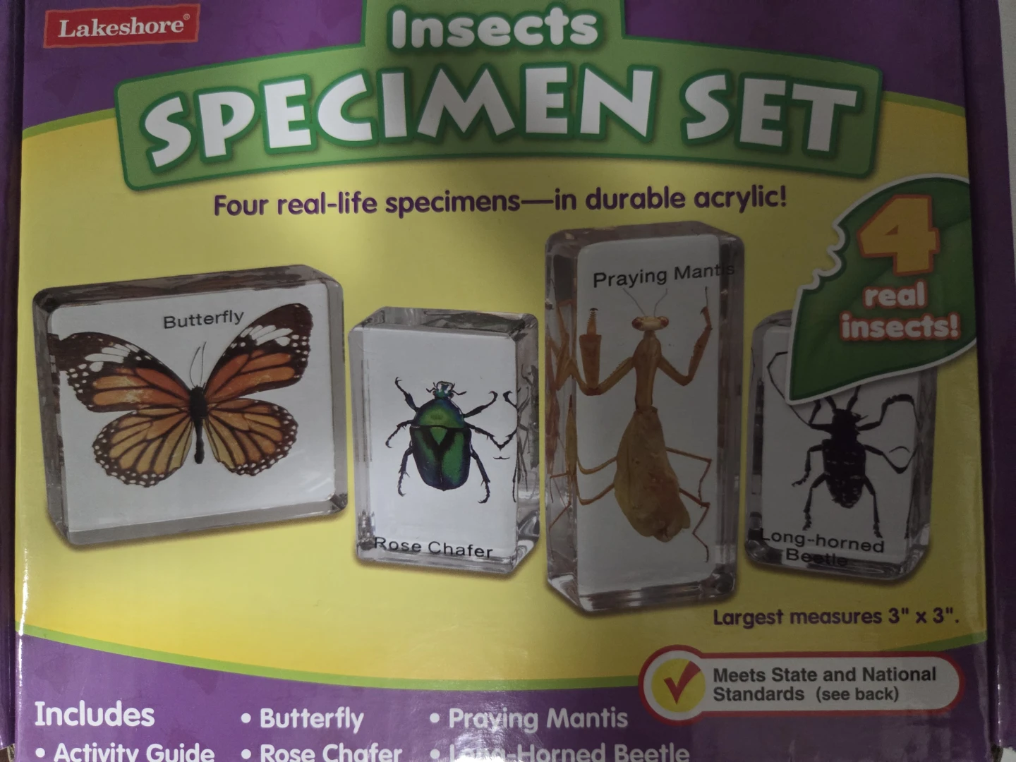 Lakeshore Insects Specimen Set - photo 2