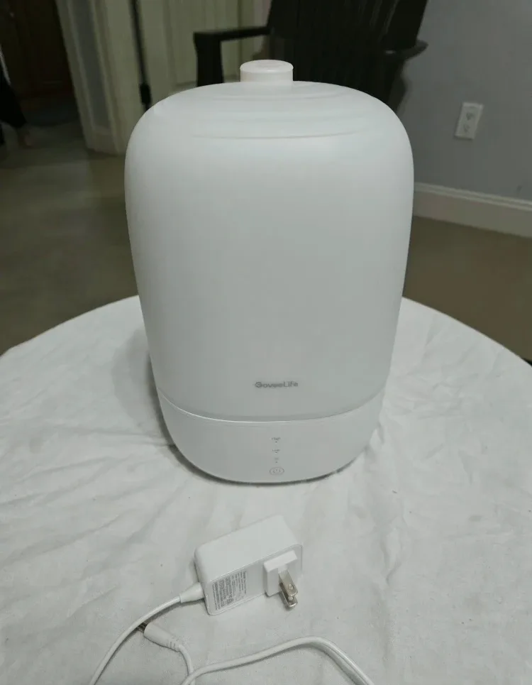 GoveeLife Humidifier
