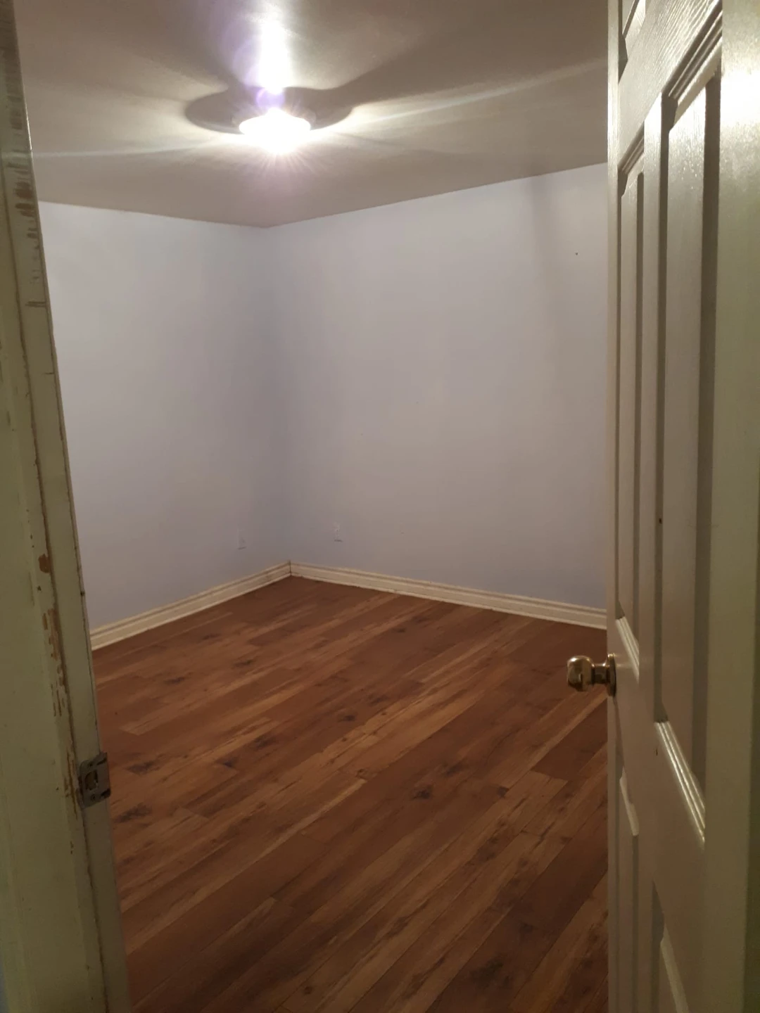 Basement in brampton