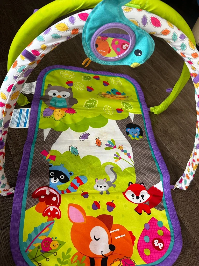 Fisher-Price Play Mat