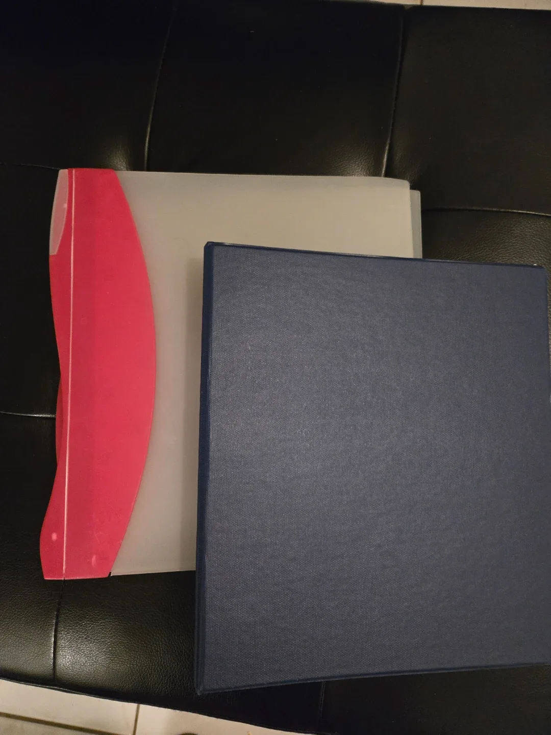 Binders - Pink and Blue