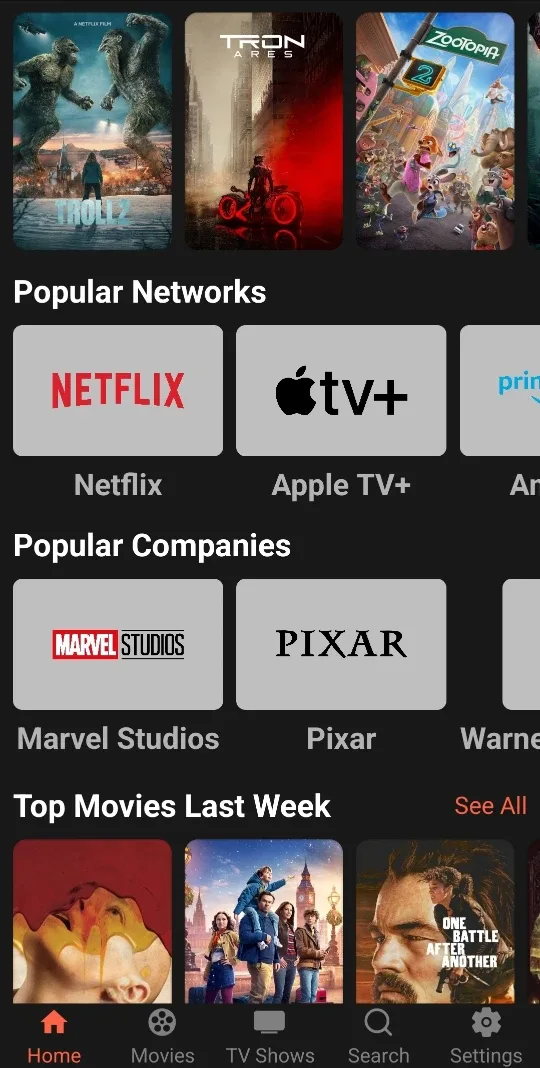 FIRESTICK PROGRAMMING image indicator(5)