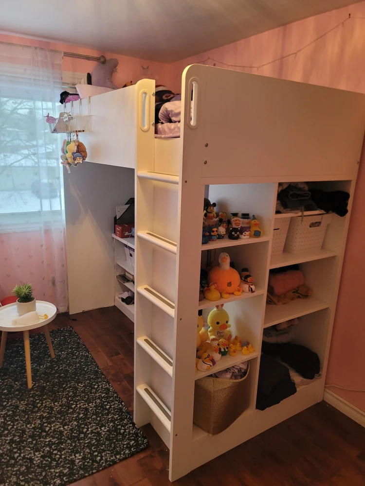 Loft Bed with Desk and Storage