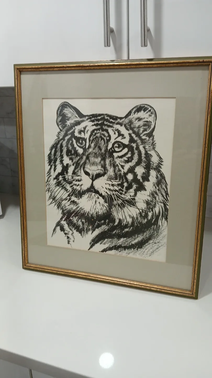 Tiger Ink Sketch ,Nicely Framed