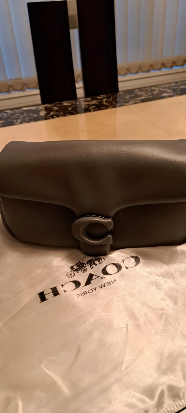 Coach Pillow Tabby 18 Grey