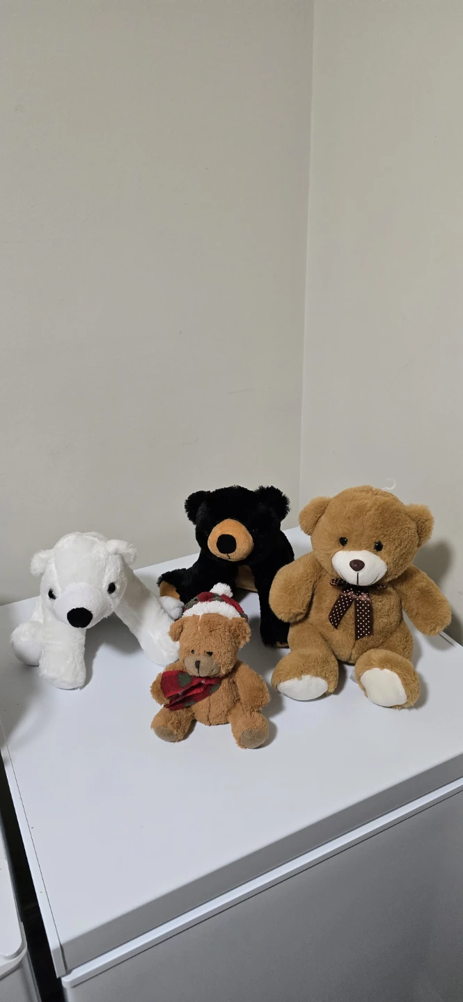 Assorted Teddy Bears
