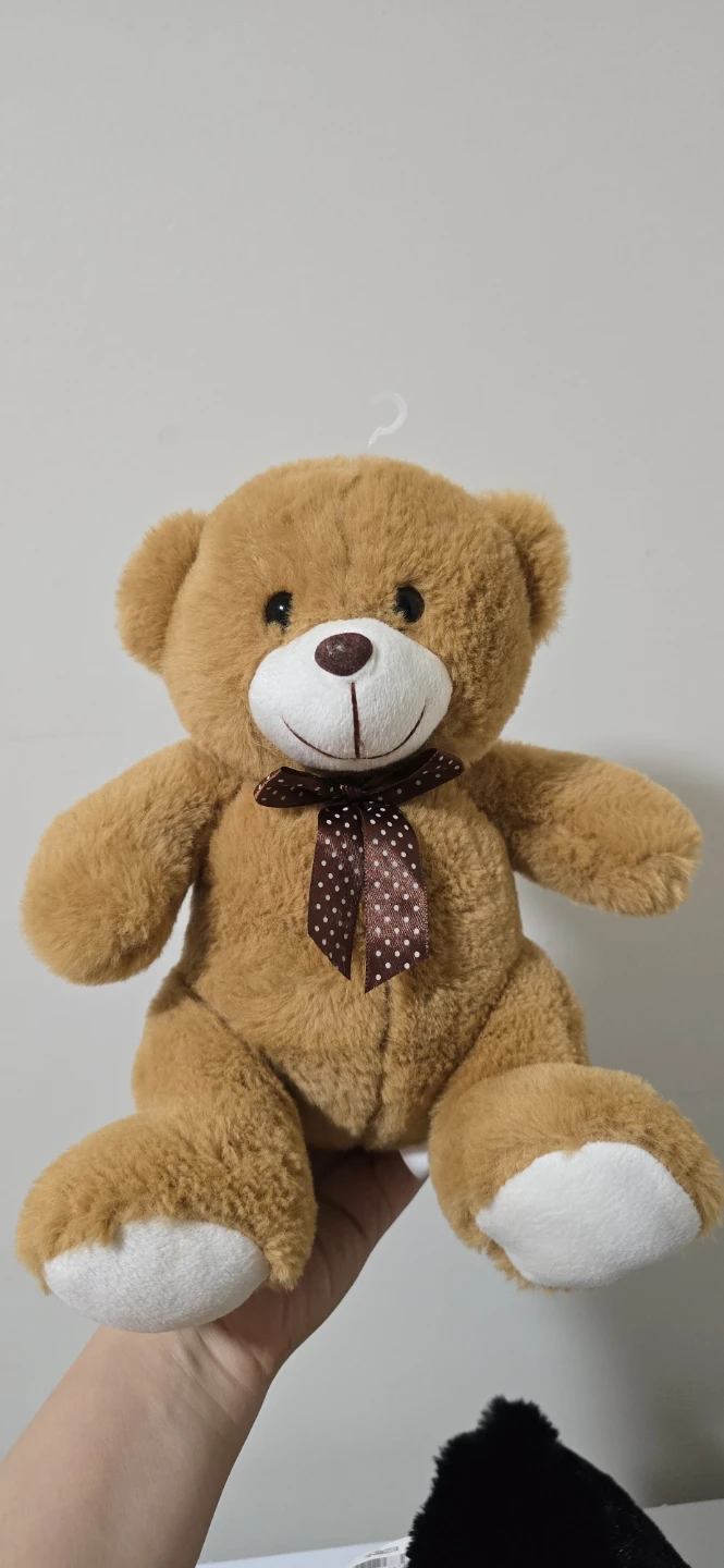 Assorted Teddy Bears - photo 5
