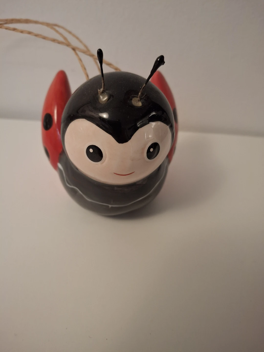 Ladybug Hanging Planter