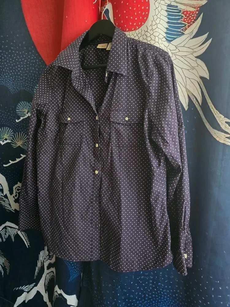 L.L.Bean Women's XL Polka Dot Shirt  #Cleanout image indicator(4)