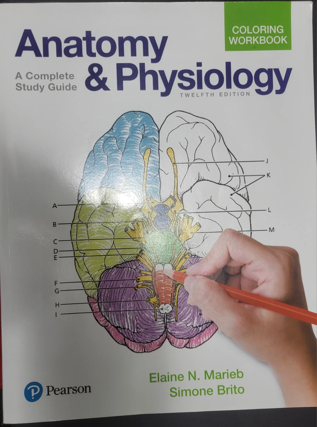 Anatomy & Physiology Workbook
