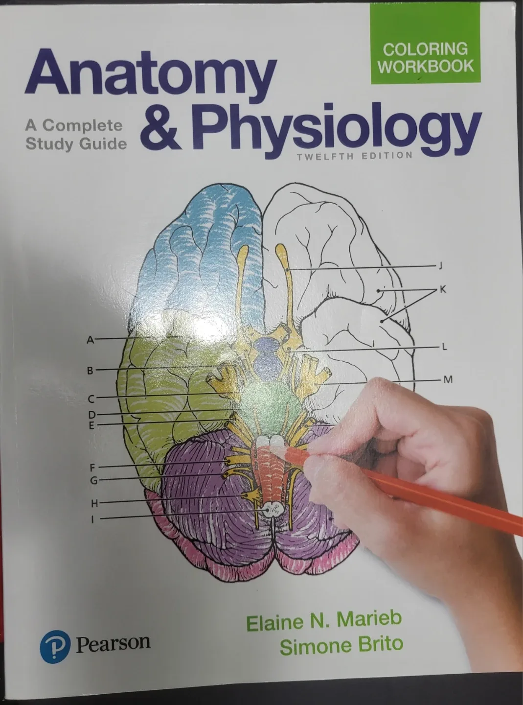 Anatomy & Physiology Workbook
