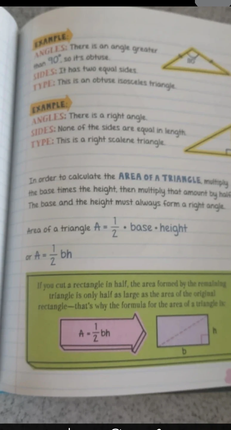 Everything You Need to Ace Math - #Cleanout - photo 4