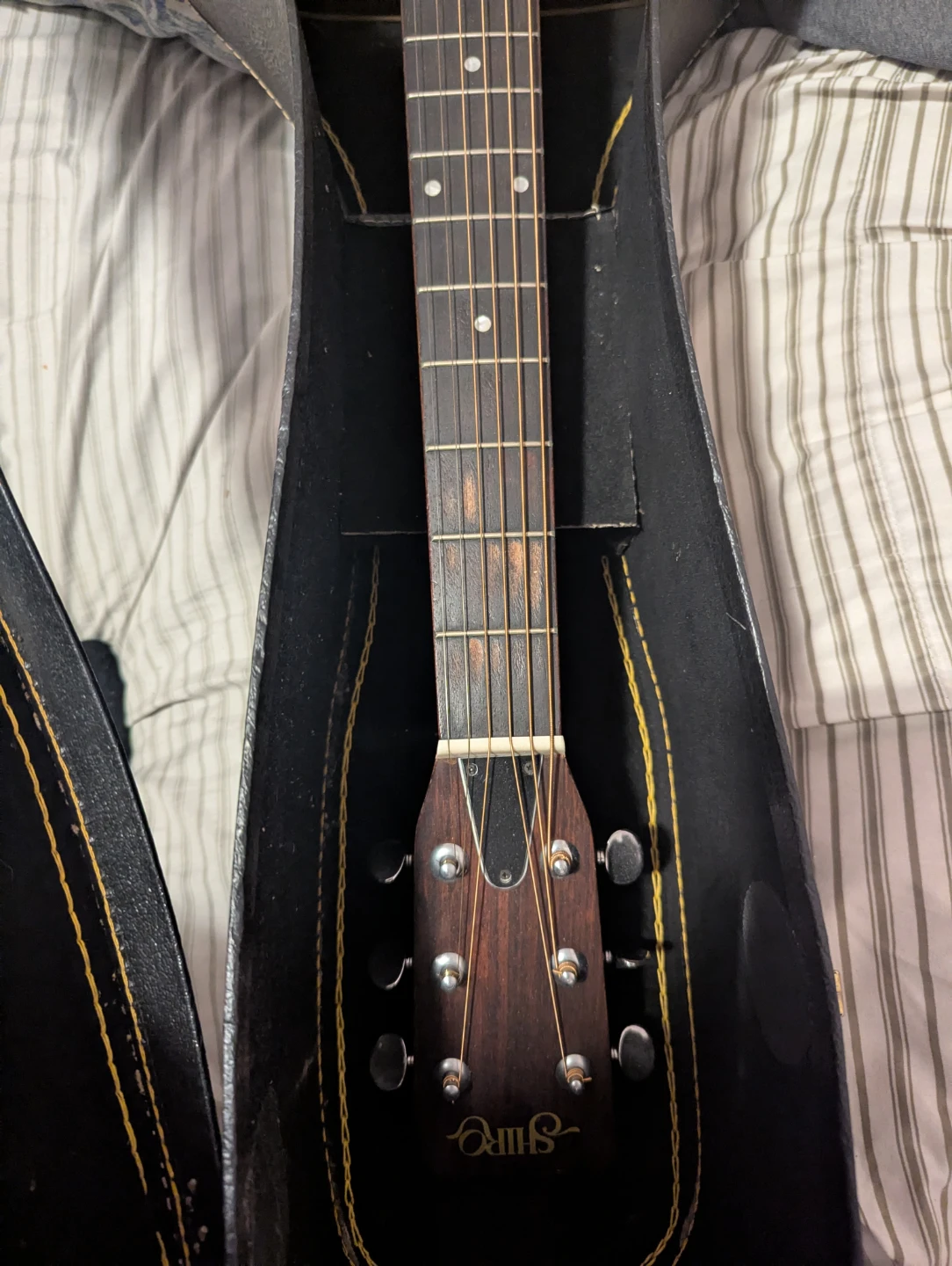 Guitar with  Case and Stand - photo 3