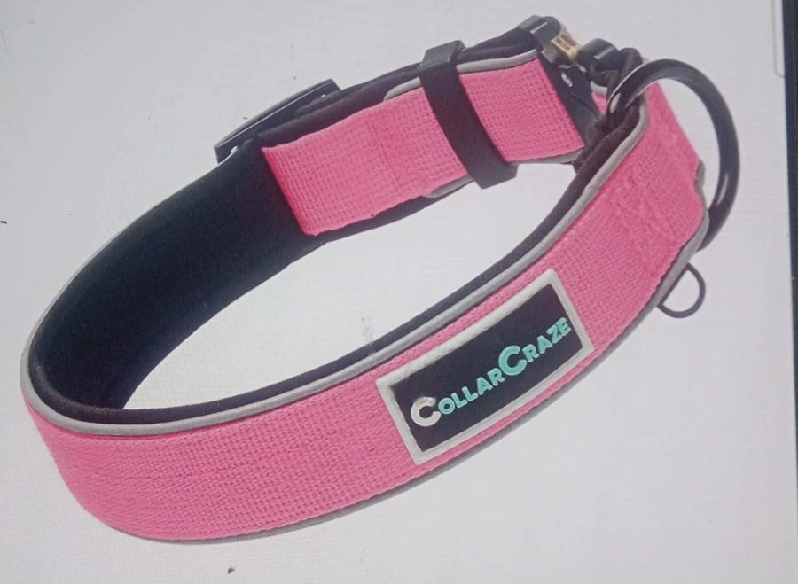 Brand: CollarCraze Dog Collar for Dogs (Pink, L)
