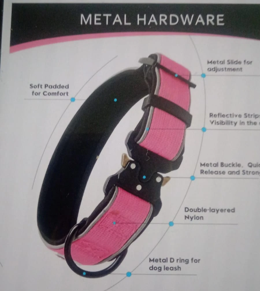 Brand: CollarCraze Dog Collar for Dogs (Pink, L) - photo 2