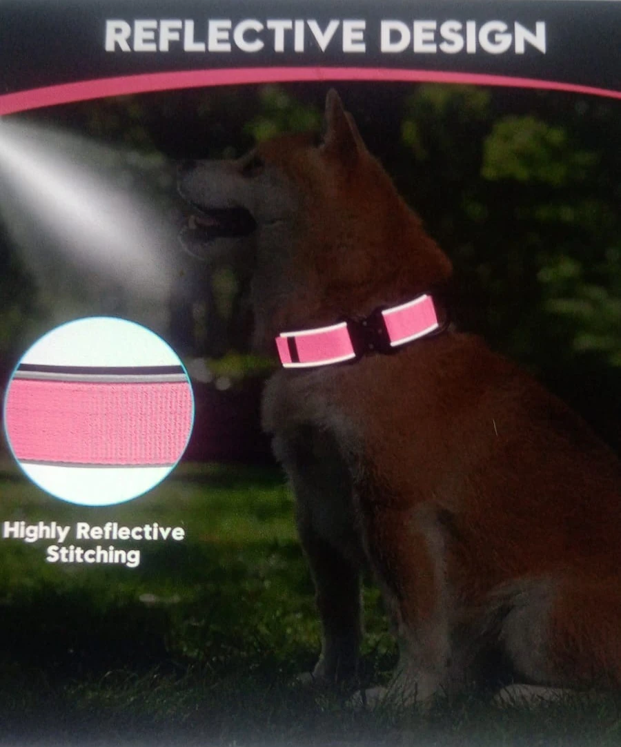 Brand: CollarCraze Dog Collar for Dogs (Pink, L) - photo 3