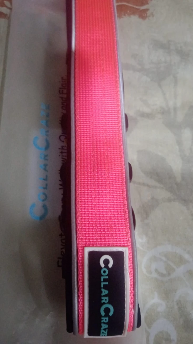 Brand: CollarCraze Dog Collar for Dogs (Pink, L) - photo 5